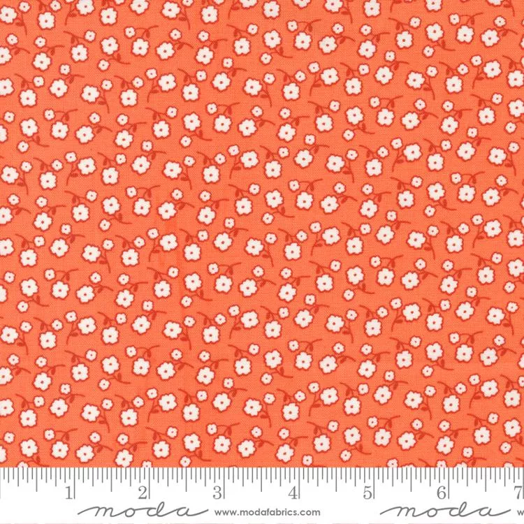 Zinnia by April Rosenthal - Sm Floral - Orange - Moda 24134 17